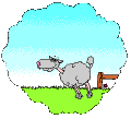 sheep.gif (16402 bytes)
