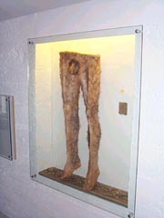 Leichenhose in der Ausstellung in Hólmavík
