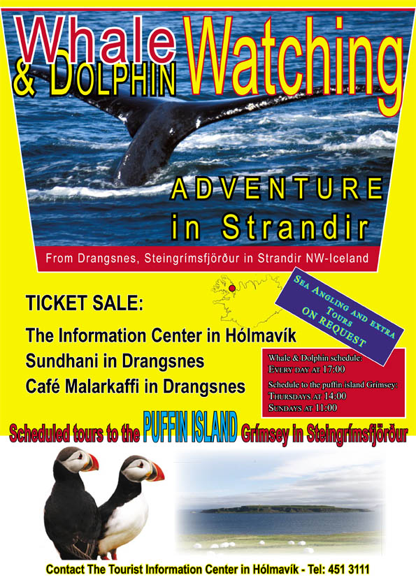 Whale Watching in Drangsnes