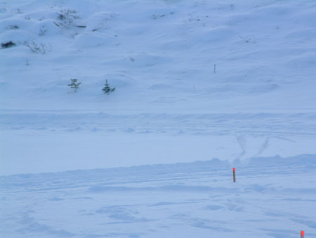 kjartansmot 039