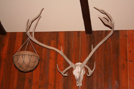 jolahladbord_caferiis 048