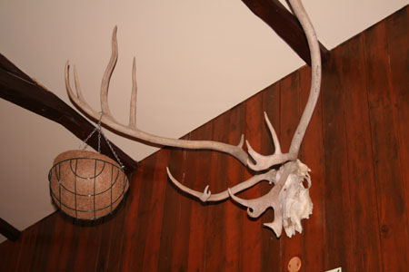 jolahladbord_caferiis 066