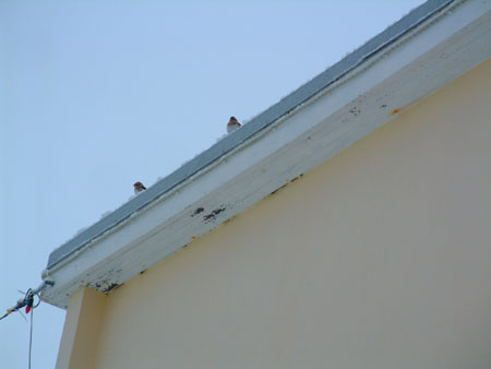 skida_og_snjomyndir 027